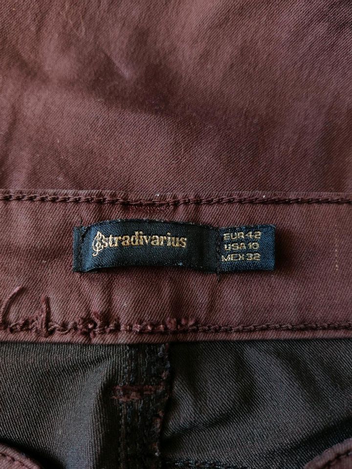 NEU | Jeans | Stradivarius | schokobraun | Größe 42 in Freising