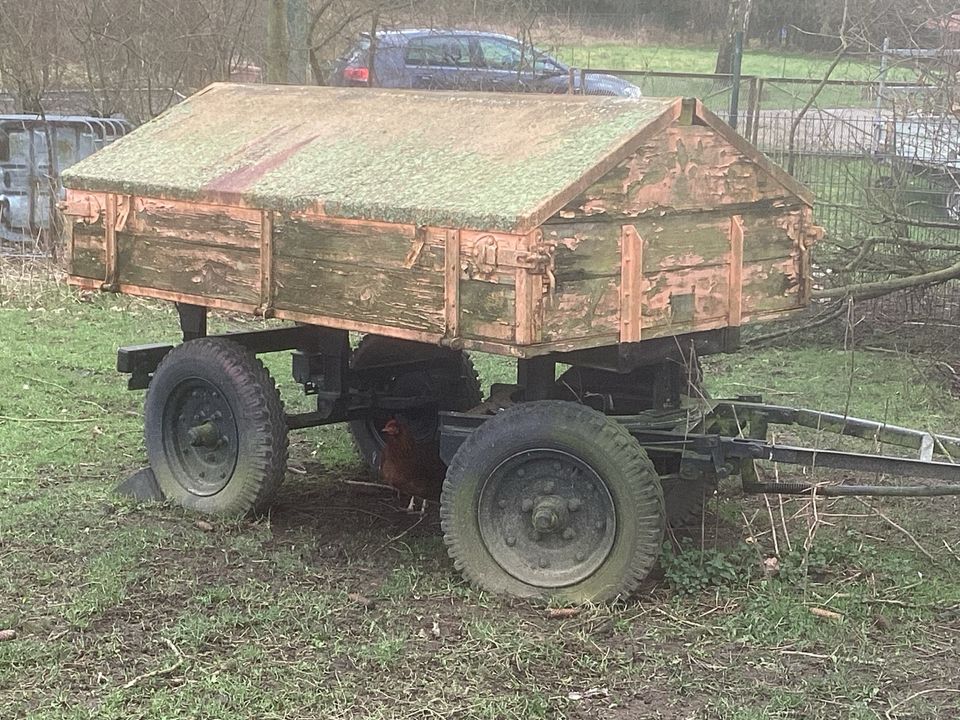 Radlader Großflächen Aufsitzmäher Multicar Anhänger auch TAUSCH in Schönberg (Mecklenburg)