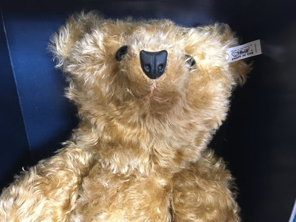 Steiff 404108 - Teddy BÄRLE 35 - PB 1904 in Grünendeich Niederelbe