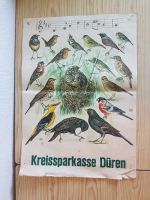 Werbeposter Kreissparkasse Düren - Singvögel Nordrhein-Westfalen - Stolberg (Rhld) Vorschau