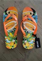 Cavalli Flip Flop Bayern - Erlangen Vorschau