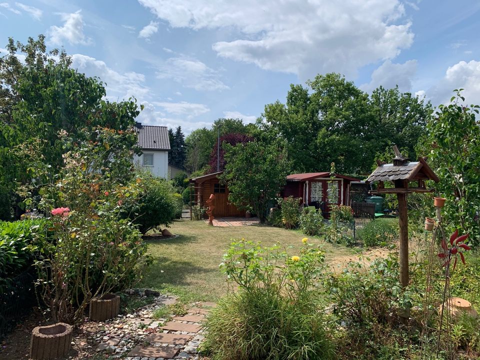 SANKT AUGUSTIN, schönes Einfamilien-Reihenhaus, 4 Zimmer, ca. 140 m² WNfl, Keller, Garten, Garage in Sankt Augustin