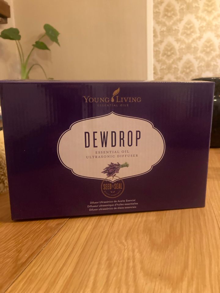 Diffuser Young Living Dewdrop in Wackernheim