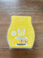 Scentsy Wachs bar Rheinland-Pfalz - Breitenheim Vorschau