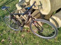 Singlespeed-MTB Troger Sella 26" Lindenthal - Köln Sülz Vorschau
