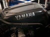 Yamaha fzs 600 Tank Baden-Württemberg - Waldshut-Tiengen Vorschau