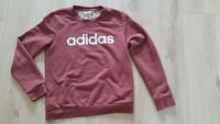 Sweatshirt in Gr. M von Adidas Köln - Kalk Vorschau