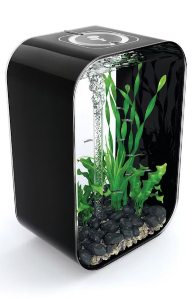 BiOrb Aquarium LIFE 45 MCR (45 l schwarz mit Unterschrank) in Dippoldiswalde