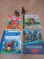 Für DinoFans... Bücher + Dinos Hessen - Neuberg Vorschau