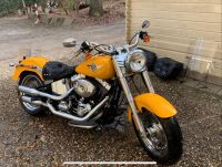 Harley Davidson Fat Boy / Kesstech Anlage Essen - Essen-Ruhrhalbinsel Vorschau