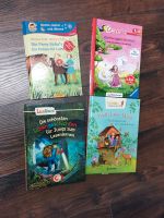 Lesen lernen Grundschule Kinder Bücher Niedersachsen - Alfhausen Vorschau
