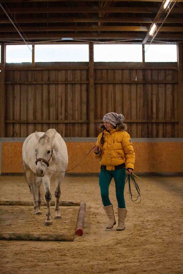 Pferdetrainer werden! | Ausbildung | natural.horsing Basistrainer in Neuhaus am Inn