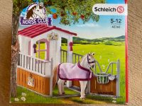 Schleich 42368 Pferdebox mit Lusitano Stute OVP Essen - Essen-Stadtmitte Vorschau