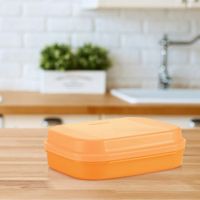 Tupperware Naschkätzchen 1,1 l orange neu und OVP‼️ Hessen - Maintal Vorschau