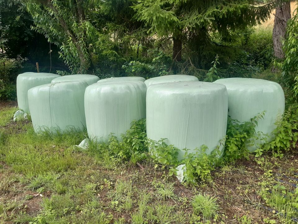 Heulage Silage Rundballen in Alheim