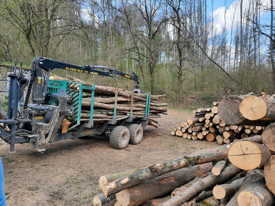 Holztransport Brennholz Transport Holz Wald Fakten Art Traktoren in Steinau an der Straße