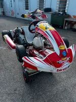 Rennkart Birel Easy Kart60 Bayern - Rosenheim Vorschau