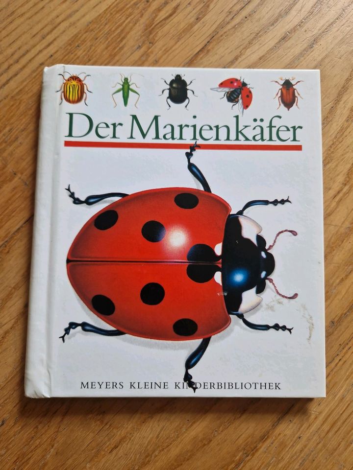 Der Marienkäfer  Montessori Kosmische Erziehung Meyers in Welzheim
