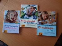 Buch Sachbuch Kinesiologie u.w. Hessen - Elbtal Vorschau