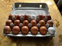 Frische Eier Sachsen - Rodewisch Vorschau