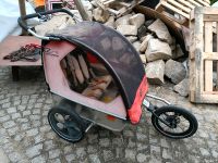 Kinderanhänger Jogger Weber Ritschie 2 ähnlich Kindercar Dresden - Coschütz/Gittersee Vorschau