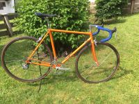 Edles VICINI Rennrad, RH 54, Shimano 600 Retro Bayern - Waakirchen Vorschau