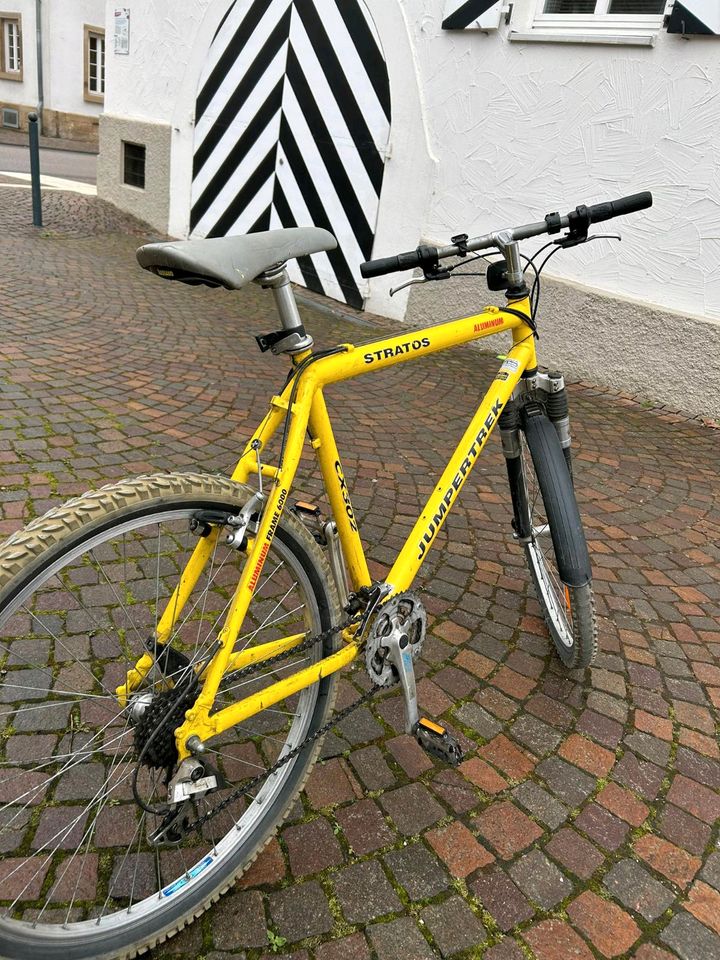 Fahrrad 26 zoll in Weinsberg