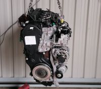 Motor Komplett Ford KUGA MONDEO T7CJ 2,0 TDCI 66Tkm 1 Jahr Brandenburg - Küstriner Vorland Vorschau