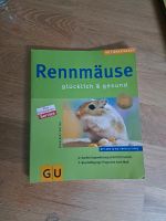 Rennmäuse glücklich und gesund Nordrhein-Westfalen - Schwerte Vorschau