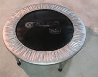 TRAMPOLIN von ALEX✨klein  100cm Sport Fitness Trampolin MINI -GS Bielefeld - Bielefeld (Innenstadt) Vorschau