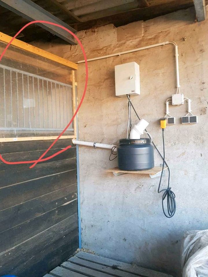 35 ❗Kubik Solebox  Pferde Inhalation Starterset in Bocholt