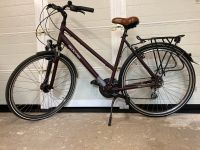 Damenrad Fahrrad Damen L M 55cm Baden-Württemberg - Bondorf Vorschau