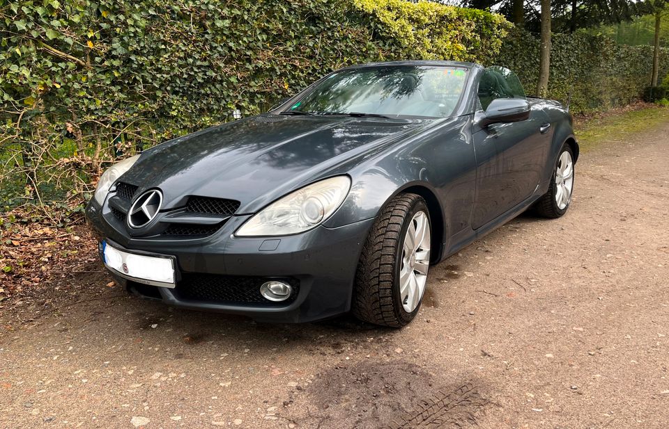 Mercedes Benz SLK 300 Cabrio V6 Automatik Exclusiv 7G Tronic Tüv in Cloppenburg