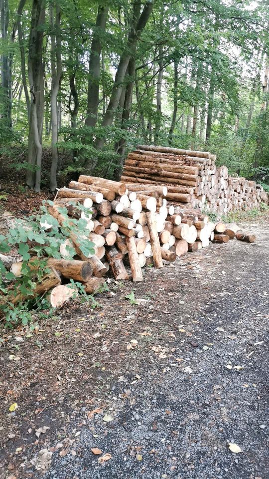 Brennholz Fichte in Kasbach-Ohlenberg