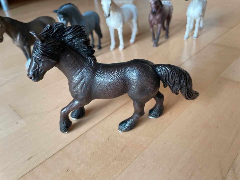 Schleich Pferde in Braunschweig