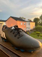 Adidas Predator Fußballschuhe 38 Rheinland-Pfalz - Speicher Vorschau