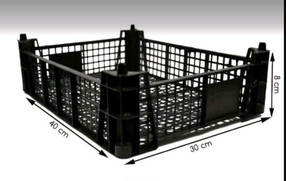 Obstkiste Pilzkisten Stapelkiste Gemüsekiste plastikkiste in Berlin
