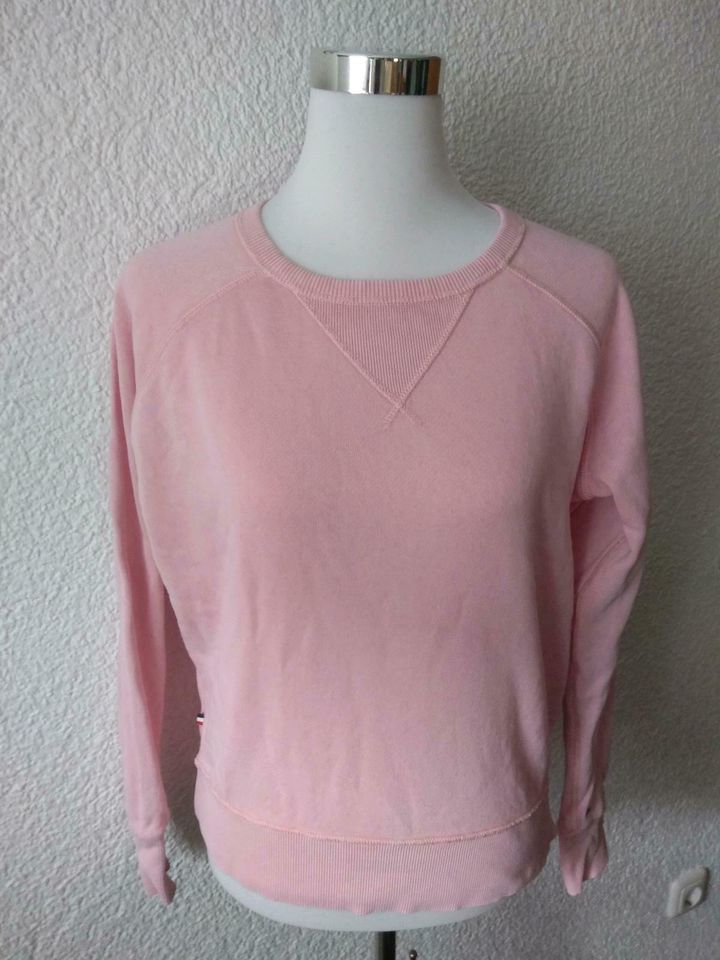 Thommy Hilfiger Sweatshirt rosa Größe S top Zustand in Meuselwitz