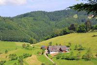 Schwarzwald-Ferienwohnungen - Ferienhaus-traumhafte Panoramalage. Baden-Württemberg - Oppenau Vorschau