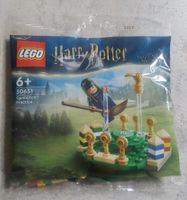 Lego 30651 Harry Potter Quidditch Training mit Cho Chang Polybag Niedersachsen - Lehrte Vorschau