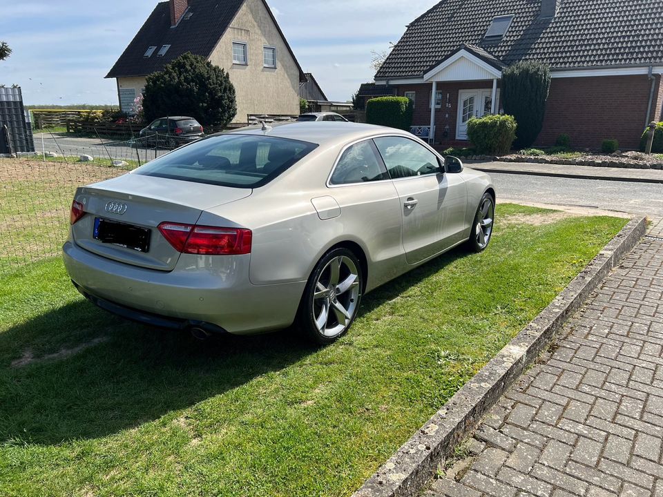 Audi A5 Coupé in Wolfsburg