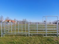 Laufbox aus Panels Box Gitter Pferdebox 9m x 3,6m Panelbox Brandenburg - Treuenbrietzen Vorschau