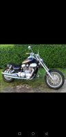 Custom VN15 Kawasaki Umbau Bayern - Floß Vorschau