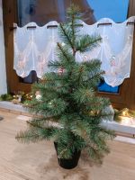 Ikea Fejka Tannenbaum im Topf 60 cm Thüringen - Veilsdorf Vorschau