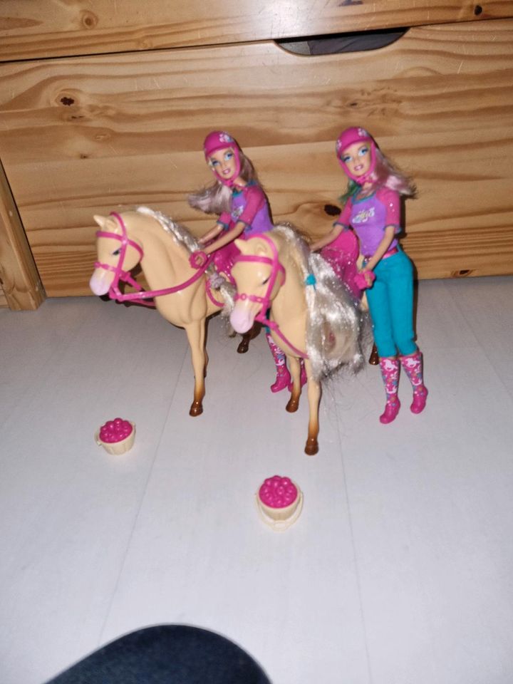 Barbie mit Pferd und Zubehör in Osnabrück