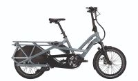 Lasten-eBike Tern GSD S00 *NEU* UVP 7.299,– € Thüringen - Stadtroda Vorschau