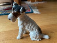 Foxterrier Rosenthal Porzellan Nordrhein-Westfalen - Neuss Vorschau