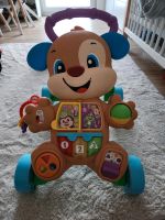 Lauflernwagen Fisher Price Sachsen-Anhalt - Landsberg (Saalekreis) Vorschau