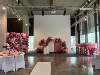 ✨Baby Shower Gender Reveal Party Dekoration Backdrop✨ Kr. München - Garching b München Vorschau