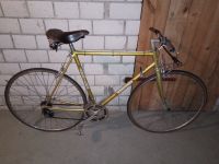 Vintage Rennrad Custom Aquilon Baden-Württemberg - Riegel Vorschau